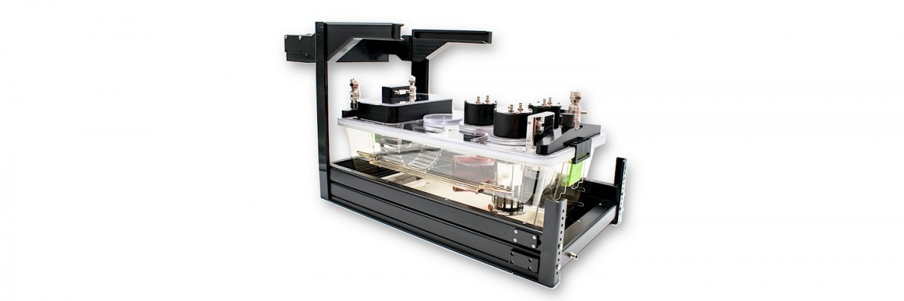 Cusca fenotipare metabolism Automated Home Cage Phenotyping