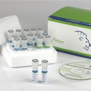 COVID 19 - EliGene®  BASIC A Real-time PCR