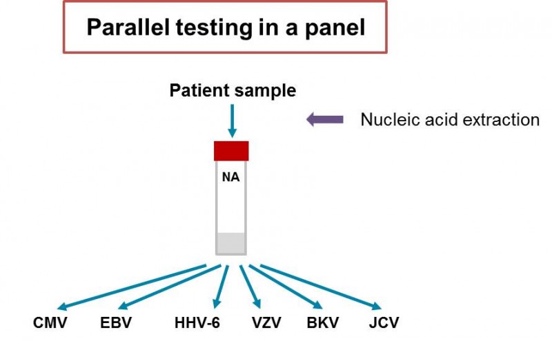 Testare patogenă paralela cu kiturile RealStar